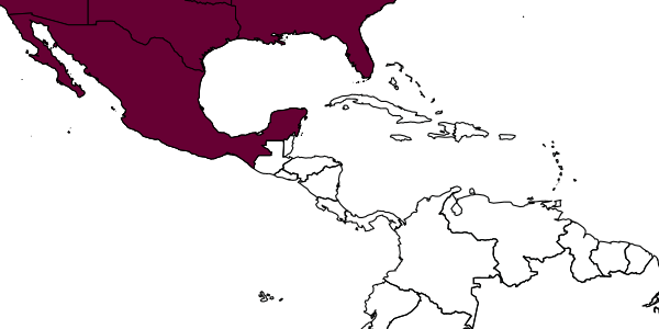 map of Mellinus imperialis     Bohart, 1968