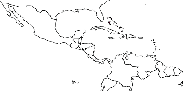map of Mesoplia bahamensis     Genaro & Breto, 2022