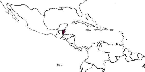 map of Ceratina belizensis     Baker, 1907