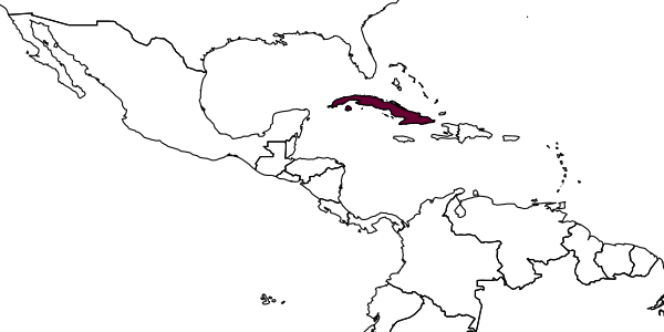 map of Mesoplia cubensis     Genaro & Breto, 2022