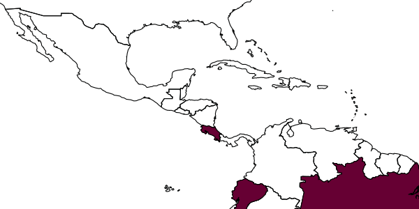 map of Crovettia neotropica     Olmi, 1984