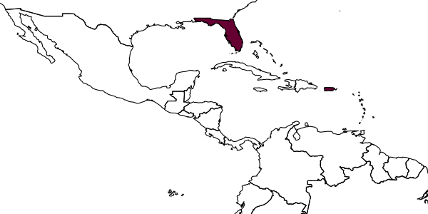 map of Encarsia basicincta     Gahan, 1927