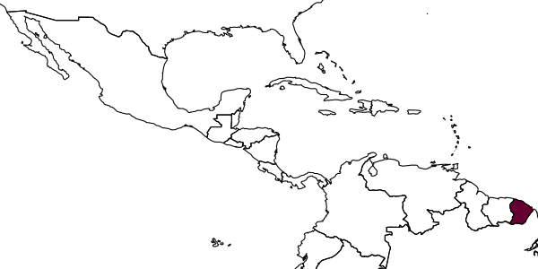 map of Pereirapis chrysaspis     (Vachal, 1911)