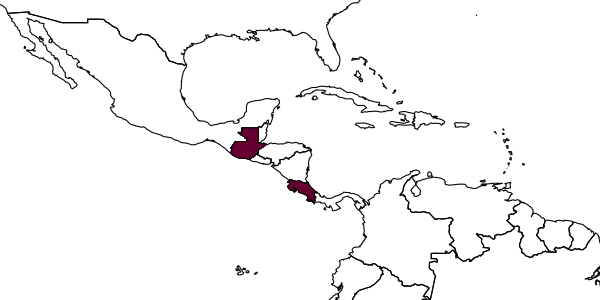 map of Stenodynerus temoris     Bohart, 1980