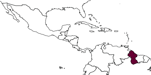 map of Allomerus octoarticulatus  demerarae   Wheeler, 1935