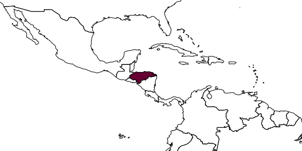map of Andrena uyacensis     Cockerell, 1949