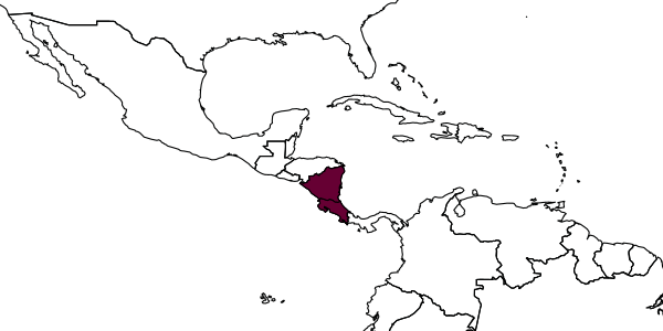 map of Oozetetes nyctiboraphagus     Gibson