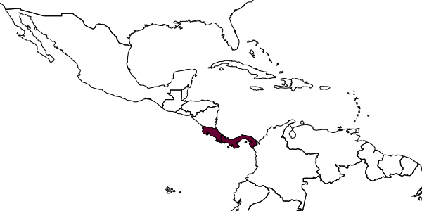 map of Messatoporus basiflavus     Santos, in Santos & Aguiar, 2013