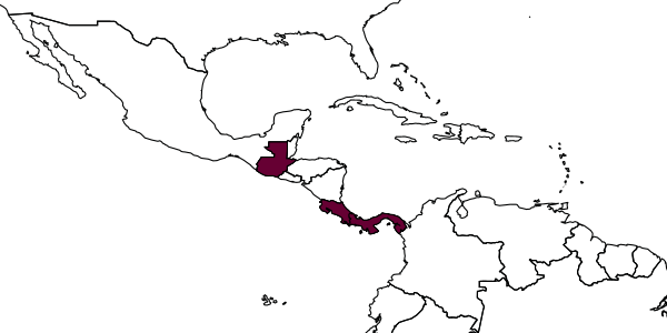map of Horismenus vogti     Hansson, 2009