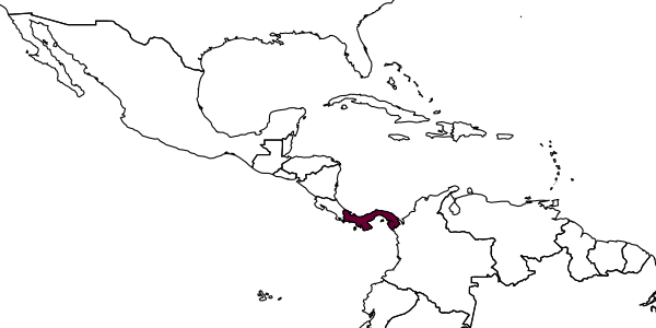 map of Calyozina neotropica     Evans, 1964