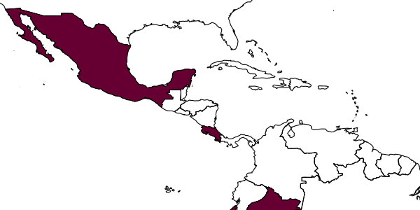 map of Stethantyx alajuela     Khalaim & Broad, 2013