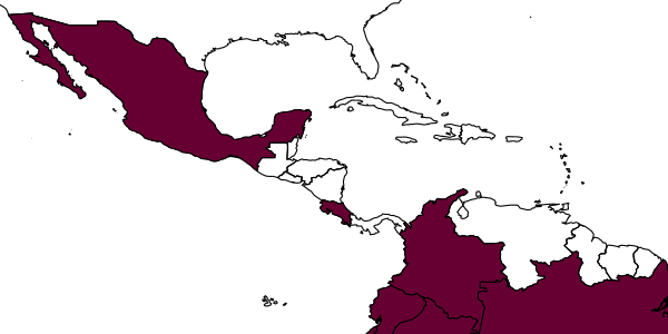 map of Hypomicrogaster luisi     Valerio, 2015