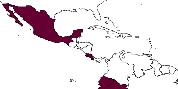 map of Stethantyx sanjosea     Khalaim & Broad, 2013