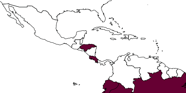 map of Apleurotropis anemia     Hansson, 2010