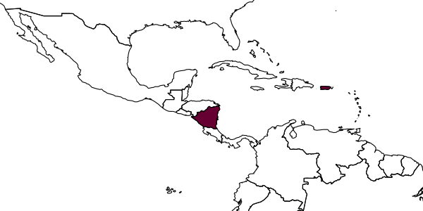 map of Doryctes parvus     Muesebeck, 1941