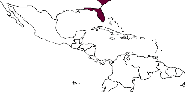 map of Stenodynerus lineatifrons     Bohart, 1948