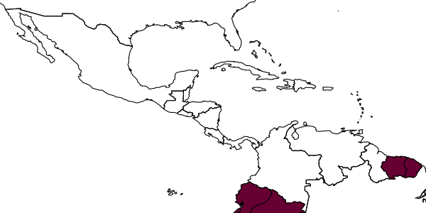map of Macreupelmus nigrispina     Gibson, 2016
