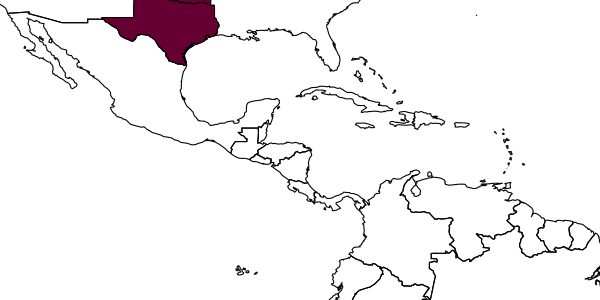 map of Microsega bella     Krombein, 1960