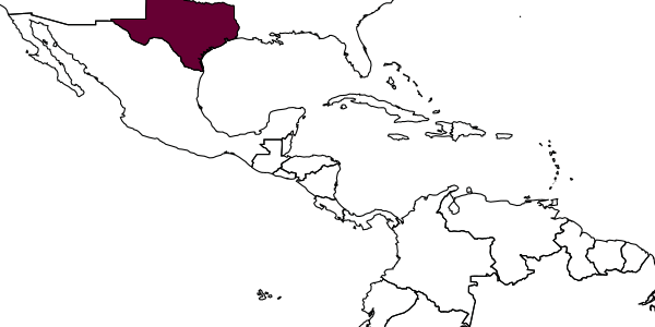 map of Paramblynotus zonatus     Weld, 1944