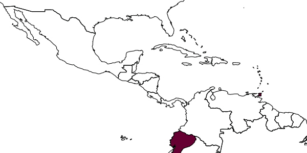 map of Conura prodebilis     Delvare, 1992