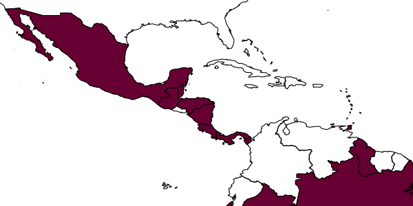 map of Pheidole rugiceps     Wilson, 2003
