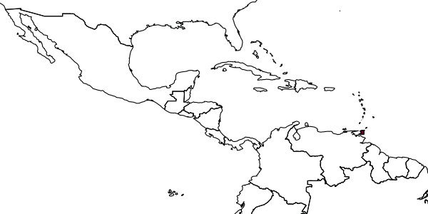 map of Paratrachymyrmex carib     (Weber, 1945)
