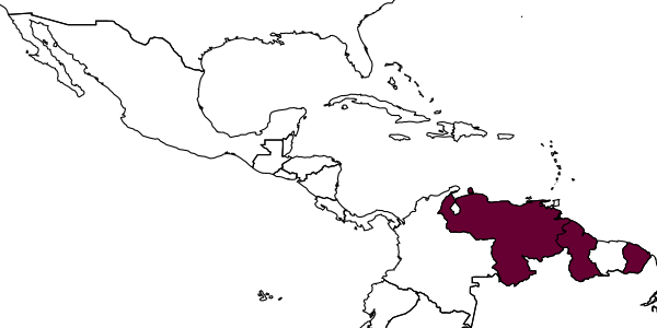 map of Ecnomocephala ashei     Gibson, 2019