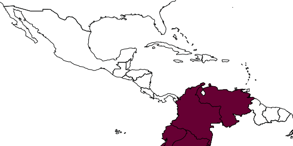 map of Forrestopius auguratricis     Alvarado & Palacio, 2021