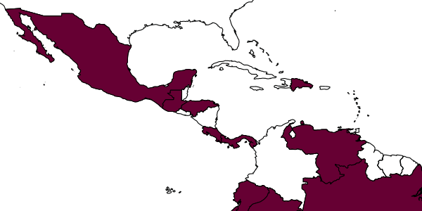 map of Crovettia plaumanniana     Olmi, 1984