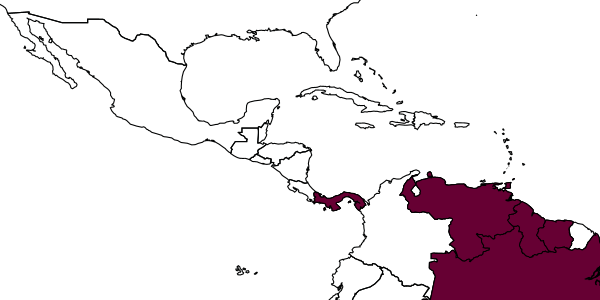 map of Anisepyris anduzei     Evans, 1966