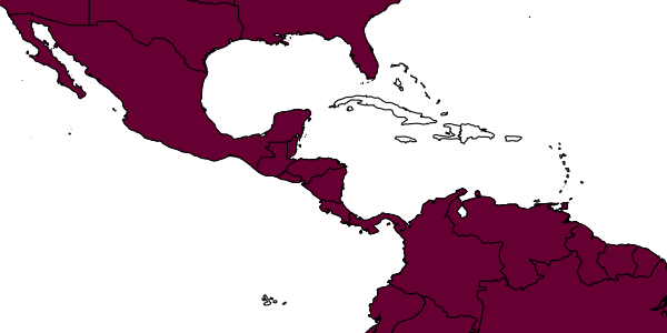 map of Conura camescens     Delvare, 1992