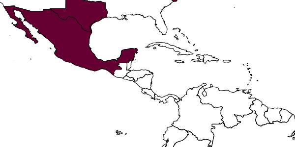map of Stantonia carpocapsae     Muesebeck, 1938
