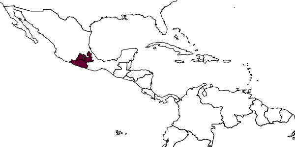 map of Trigonisca azteca     Ayala, 1999