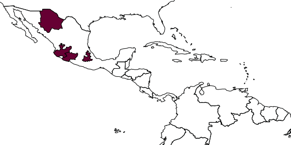 map of Lasioglossum cercothrix     McGinley, 1986