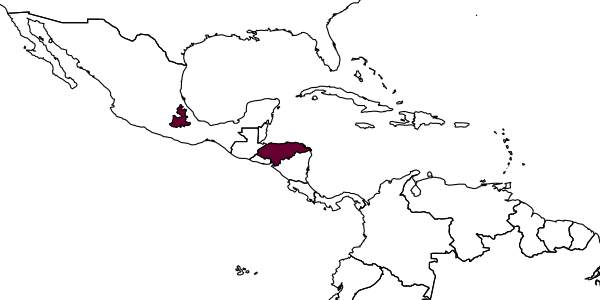 map of Melitoma monozonula     (Cockerell, 1949)