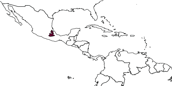 map of Exomalopsis similis  modesta   Timberlake, 1980