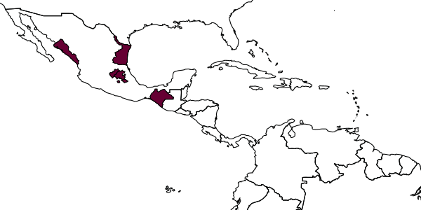 map of Iseropus hylesiae     Kasparyan, 2006