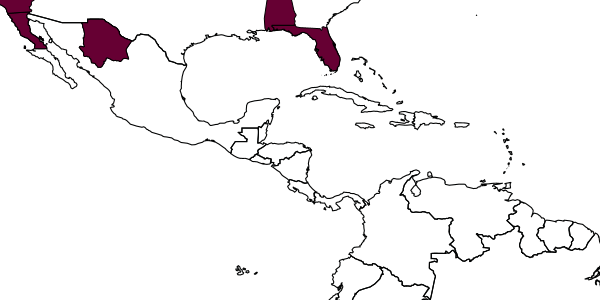 map of Hedychridium fletcheri     Bodenstein, 1951