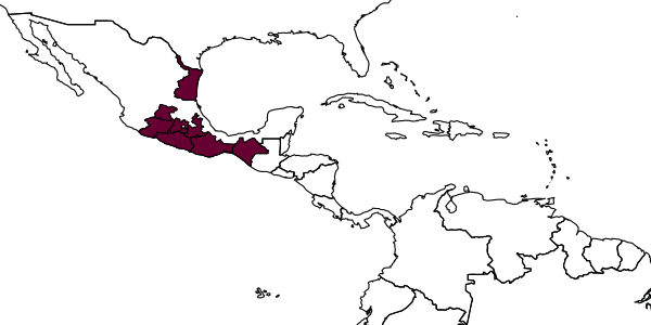 map of Blacus basitarsis     Sánchez & Wharton, 2010