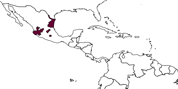 map of Itoplectis mexicana     Kasparyan & Niño, 2004