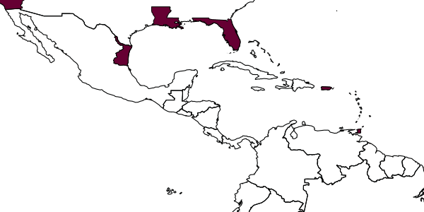 map of Encarsia brimblecombei     (Girault, 1933)