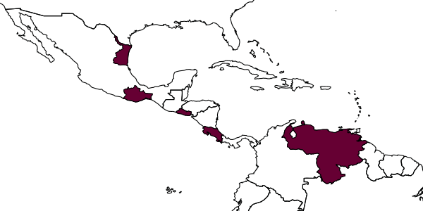 map of Clistopyga henryi     Gauld, 1991