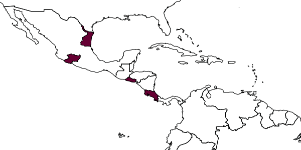 map of Pimpla segnestami     Gauld, 1991
