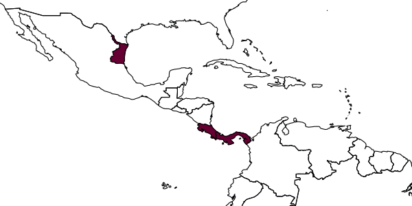 map of Schizopyga avivae     (Gauld, 1991)
