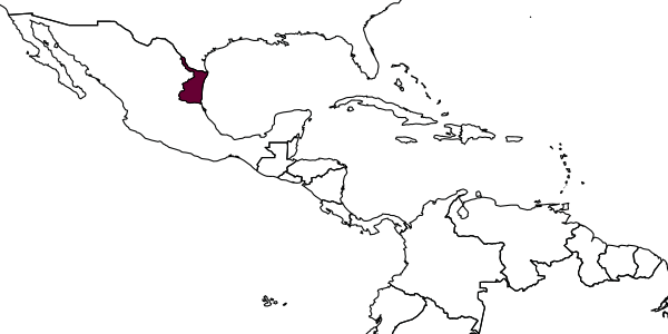 map of Probles spectabilis     Khalaim & Ruíz-Cancino, 2019