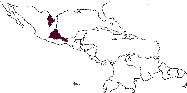 map of Synergus pseudofilicornis     Lobato-Vila and Pujade-Villar, in Lobato-Vila et al., 2018