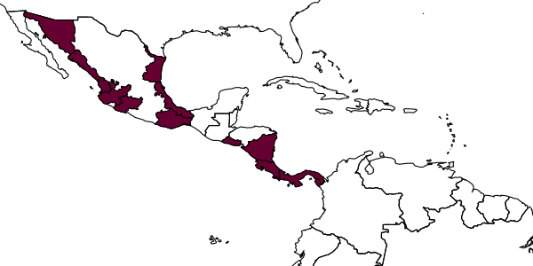 map of Mesoplia sapphirina     Melo & Rocha-Filho, 2011