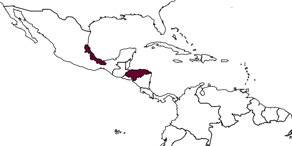 map of Pimpla xalapana     Khalaim & Ruíz-Cancino, 2021
