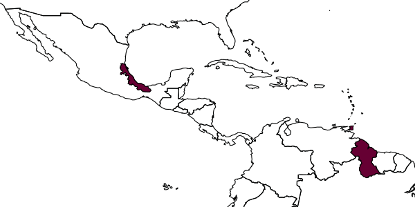 map of Penteucoila triloris     Weld, 1951