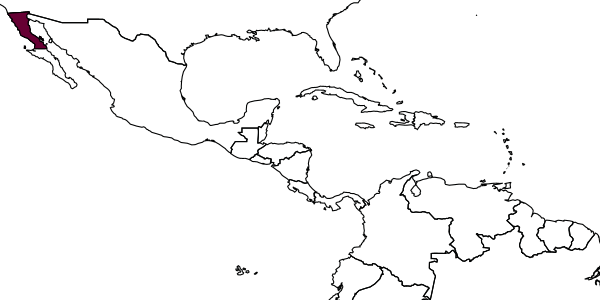 map of Perdita sexmaculata  octonaria   Timberlake, 1962